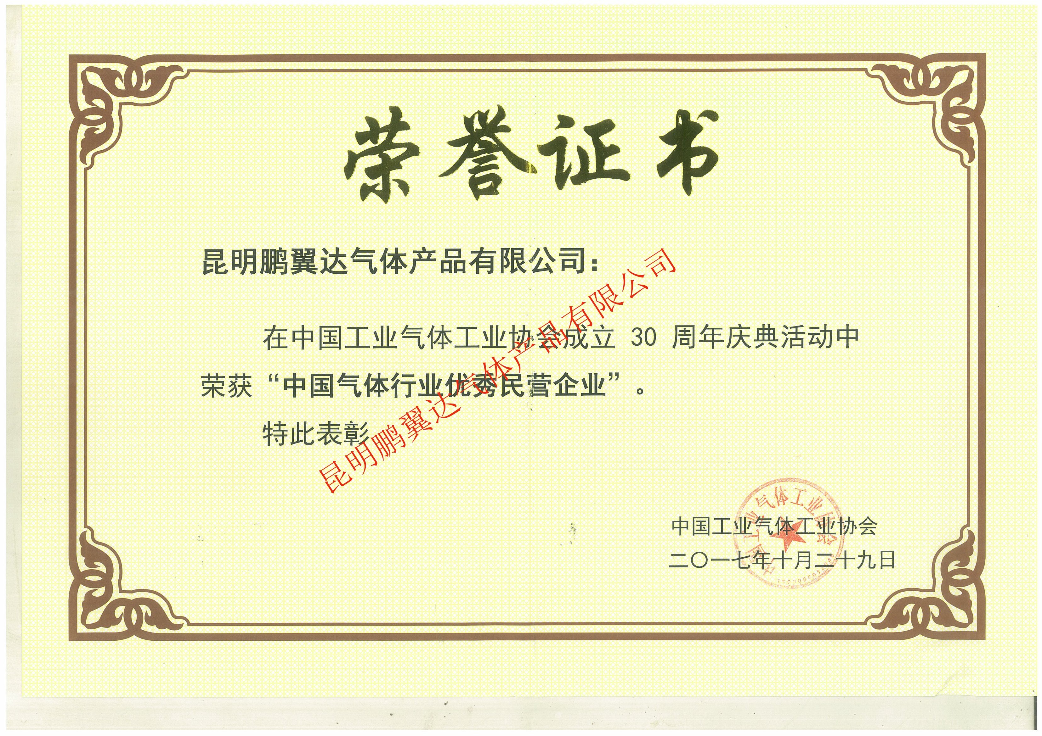 中国气体行业优秀民营企业荣誉证书
